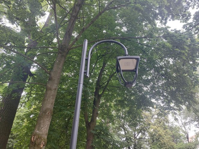 Park im. Szafera w Rzeszowie 