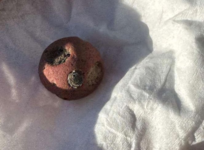 Wyjątkowe cmentarzysko z czasów rzymskich w Gąskach pod Inowrocławiem. Archeolodzy znaleźli cenne znaleziska z I wieku