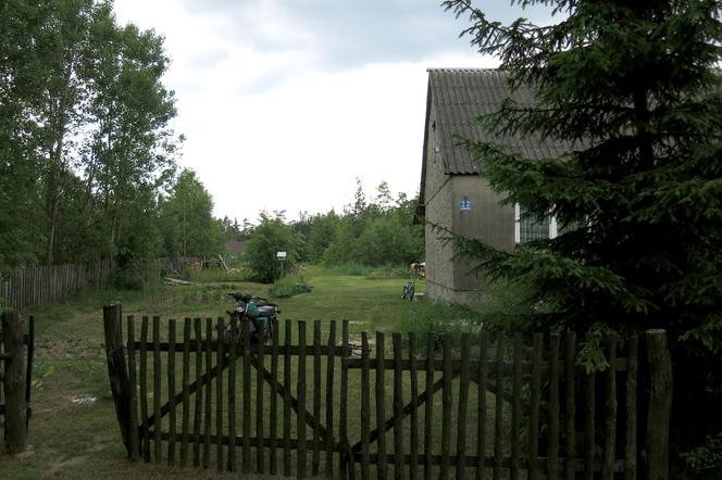 Dzikie zwierzęta wygrzebały zwłoki zamordowanego Mikołaja. Został pochowany na cmentarzu w Czeremsze