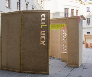 Sukkot – let's build a tent! Podsumowanie warsztatów projektowych z okazji Święta Kuczek