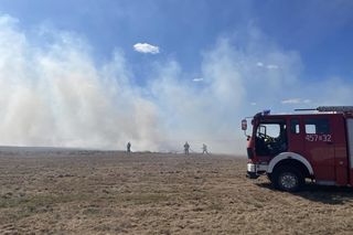 Niedopałek przyczyną pożaru nad Biebrzą! Wędkarz ukarany mandatem