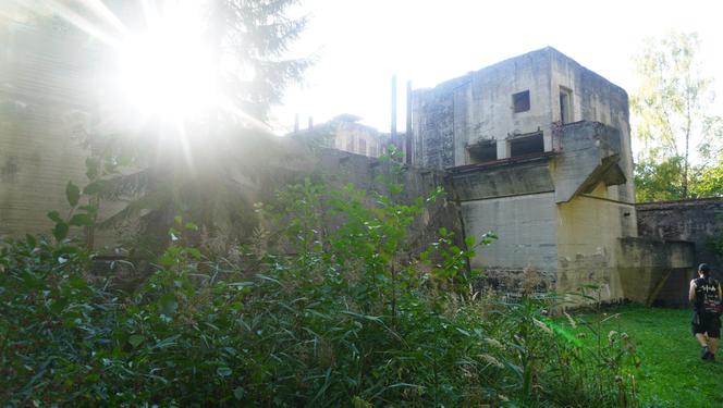 Monumentalna śluza Leśniewo z symbolami III Rzeszy ukryta w mazurskim lesie. Jest owiana tajemnicą [ZDJĘCIA]