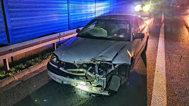 Dziki doprowadziły do karambolu na A4