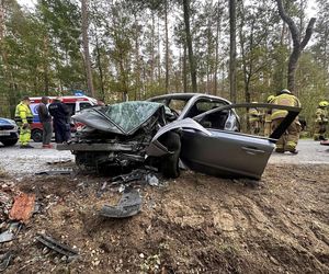 Kierowca uderzył oplem w drzewo, nie przeżył. Policja szuka sprawcy