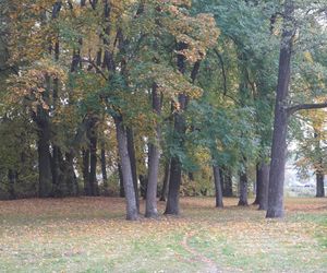 Park Lubomirskich w Białymstoku jesienią 