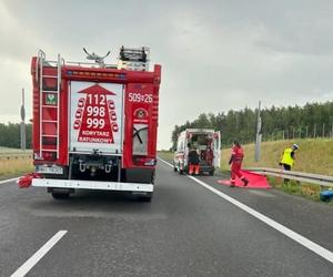 Śmiertelny wypadek na S7! Dwóch mężczyzn nie żyje. Bus huknął w bariery i wpadł do rowu [ZDJĘCIA]