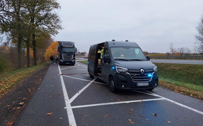 Przegiął z czasem pracy, a na pace wiózł świnie. Inspektorzy byli bezlitośni