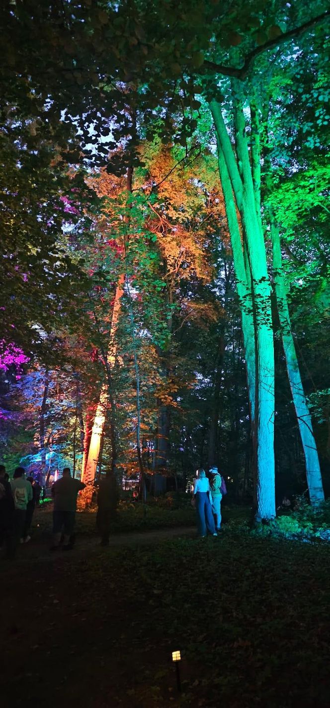 Park Świateł