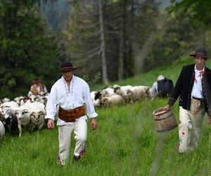 Ta znana tradycja przyciąga tysiące turystów do Szczawnicy. Mamy ją też w Korbielowie