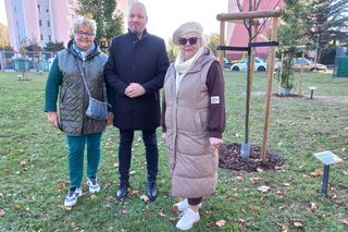 Danusia, Halinka, Linkus, Seniorita i Stasiu zapuszczają korzenie. Nowe nasadzenia w Lesznie