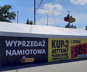 Biedronka na fali