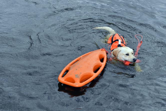 Codziennie ktoś tonie