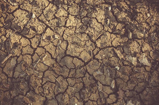 Susza pustynia gleba klimat ocieplenie upał 