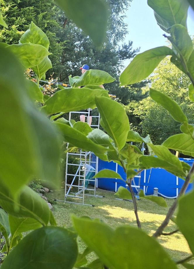 Wczasy po Polsku wiceprezesa Czarnka