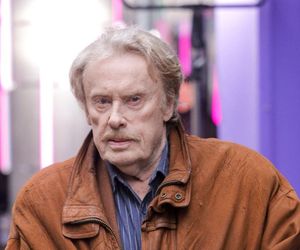 Daniel Olbrychski uratował samolot! Jednym ciosem załatwił porywacza!