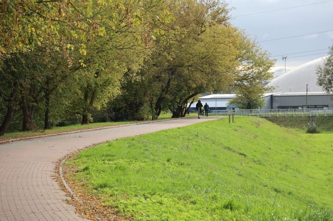 Jesienna odsłona terenów nad Bystrzycą w Lublinie. Tak się prezentuje w październiku