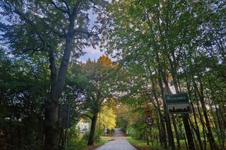 To miejsce jest 40 minut od Gdańska. Ma klimat niczym z Harrego Pottera!