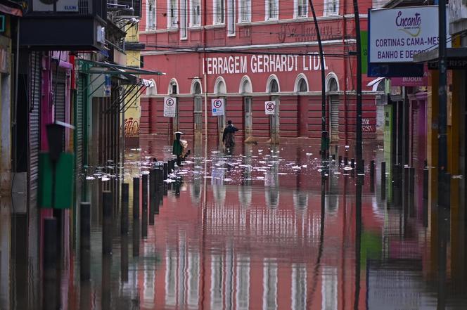 Koszmarna powódź. Po zalanych ulicach pływają piranie i kajmany. Ludzie w panice