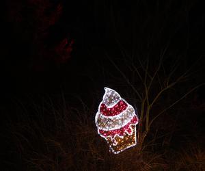 „Historia światła” po raz ostatni. Park iluminacji w Lublinie kończy sezon