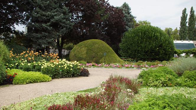 To jeden z najpiękniejszych ogrodów botanicznych w Polsce. Znajduje się na Dolnym Śląsku 