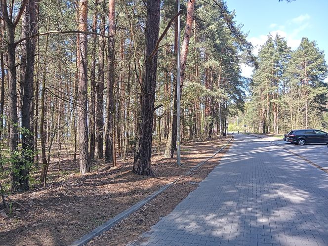 Rejów
