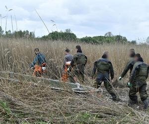 Warszawa. Wojsko wyciąga samolot, który wpadł do bagna