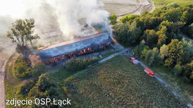 12-latek podpalił stadninę koni w Łącku? Ogromne straty. Strażacy walczyli z ogniem przez prawie 24 godziny [ZDJĘCIA]