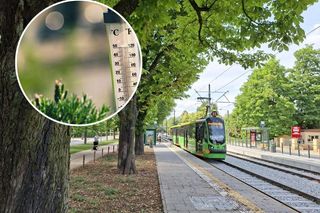 Jak na wysokie temperatury jest przygotowana poznańska komunikacja miejska?