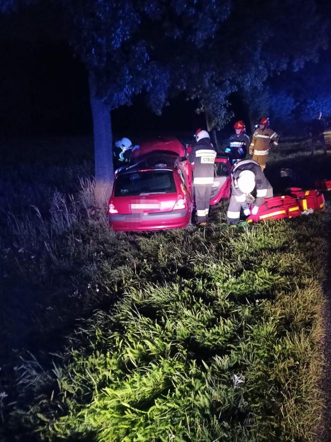 Utracił panowanie nad pojazdem i uderzył w drzewo