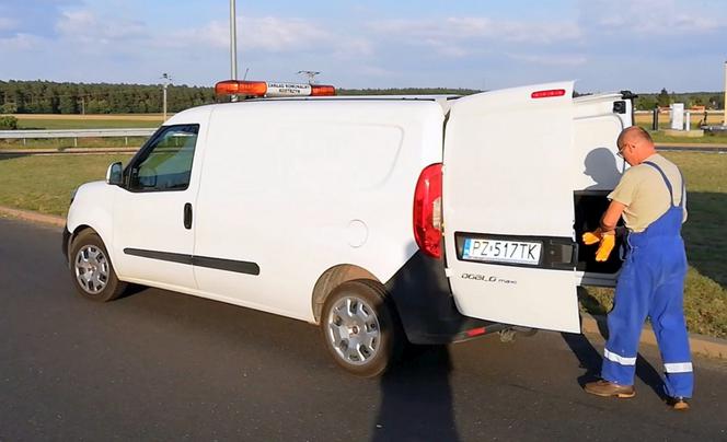Maluch głośno miauczał i mógł tam ZGINĄĆ. Uratowali go inspektorzy z Gniezna