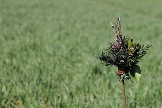 Przesądy na Niedzielę Palmową i Wielkanoc. Tak nasze babcie chroniły się przed klątwą