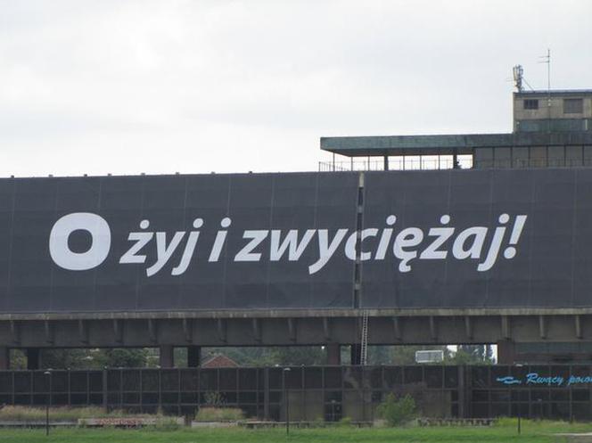 Ożyj i zwyciężaj