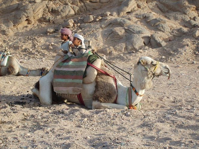 Hurghada. Miasto, które powstało z z brytyjskiej osady poszukiwaczy ropy naftowej