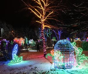 Park Miliona Świateł 2024 w Zakopanem