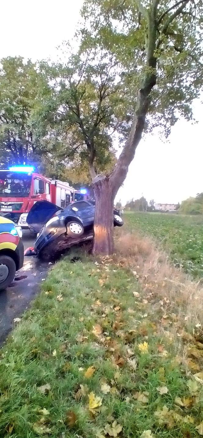 Lubieszewo: Wypadek osobówki. Kierowca trafił do szpitala [ZDJĘCIA]