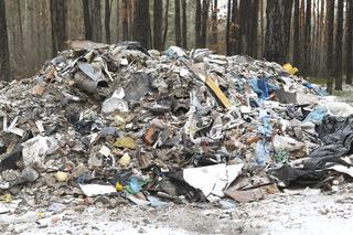 Polskie lasy toną w śmieciach. Nikt ich nie sprząta
