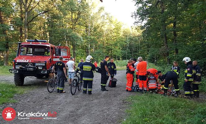 Akcja ratunkowa w Dolnie Kobylańskiej