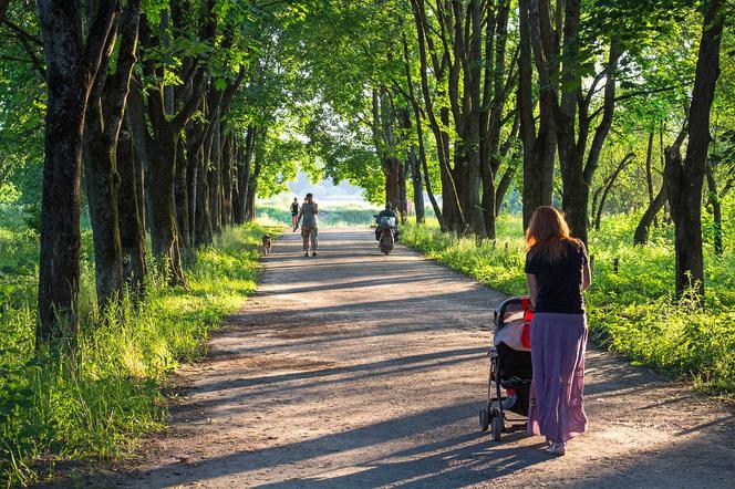 Majówka w Łodzi zapowiada się niezwykle ciekawie