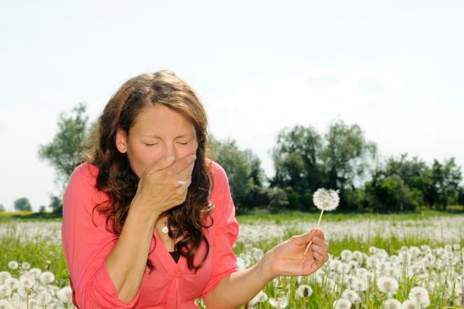 alergiczny niezyt nosa