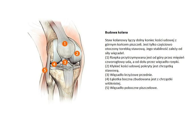artroza kolana leczenie