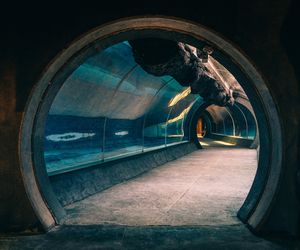 Życie w Architekturze 2025. Orientarium. Dorota Szlachcic, Szlachcic Architekci sp.z o.o., PFU-biolog Radosław Ratajszczak, Wojciech Napierała