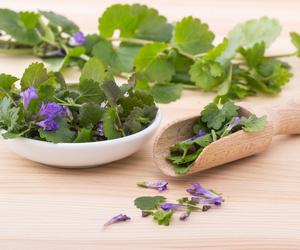 Rośnie pod nogami i pachnie jak ziołowa przyprawa. Bluszczyk kurdybanek wraca do kuchni i robi robotę