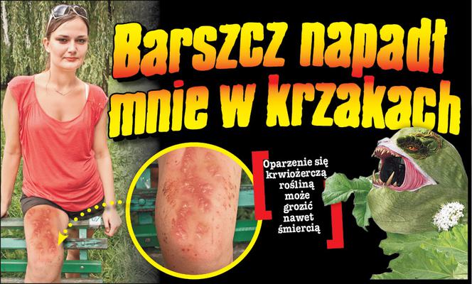 Barszcz napadł mnie w krzakach