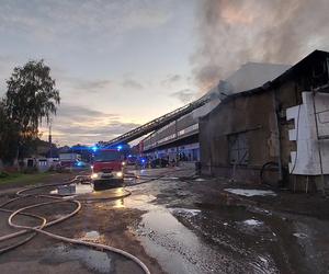 Gigantyczny pożar hali magazynowej w Gliwicach. Ponad 60 strażaków walczy z ogniem