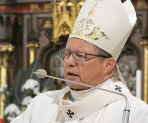 Kardynał Ryś dał przykład innym hierarchom! Niezależni eksperci zbadają nadużycia seksualne w archidiecezji łódzkiej