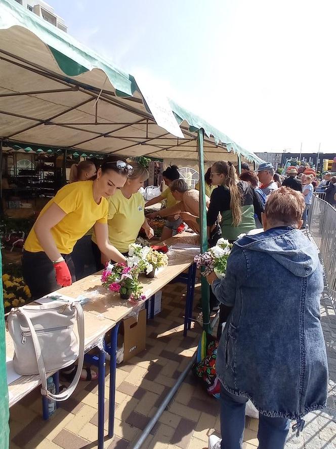 Zamień śmieci na rośliny. W sobotę Ekofestyn w Elblągu