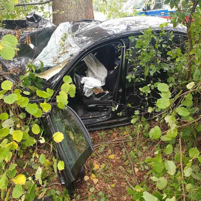Samochód roztrzaskał się na drzewie. Koszmarne wieści ze szpitala