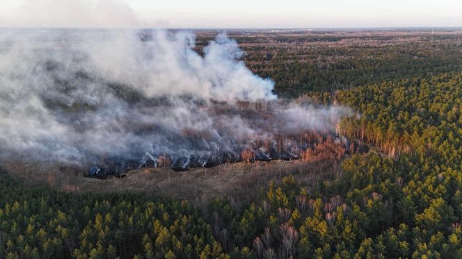 Płonie poligon pod Warszawą. Dym widać z daleka. "Ogień nie jest jeszcze opanowany"