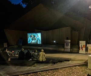 Kino na leżakach w Parku (Starachowice)