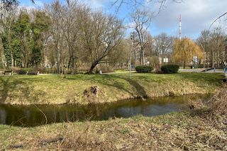Osiedle Dąbie